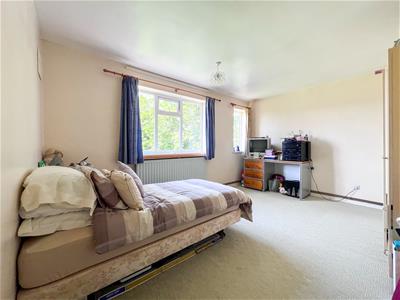 Picture 13
